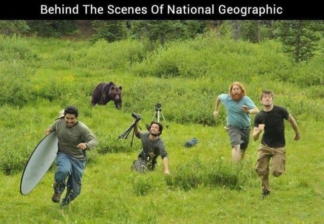 picdump-15-04-17-129.jpg
