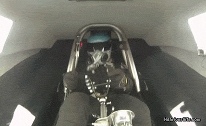 YZefu.gif