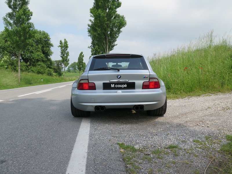 25665640wl.jpg