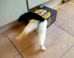 BlpNa.gif