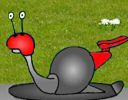 Rennschnecke.jpg
