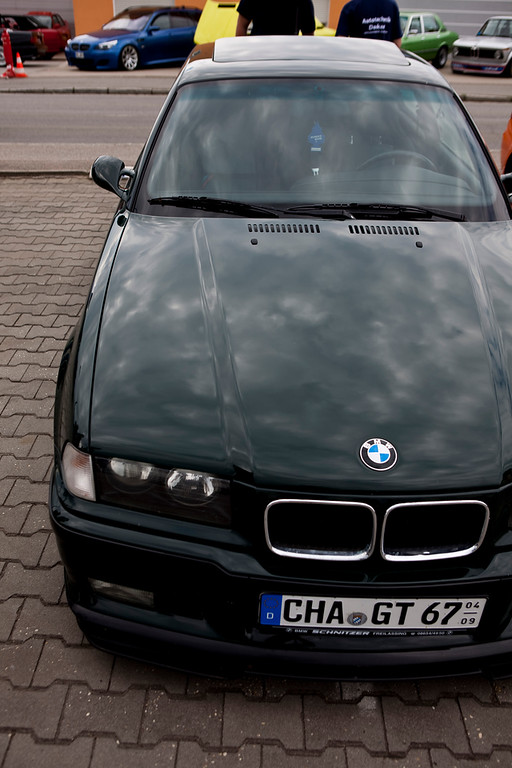 IMG9751-XL.jpg