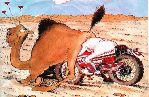 parisdakar.jpg