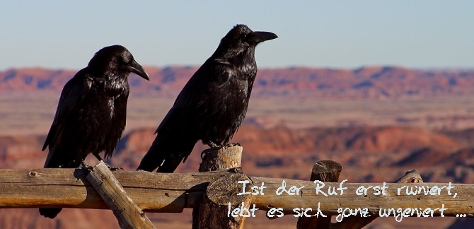 header.jpg