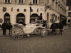 116901947_5c5eb576f7_m.jpg