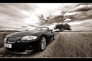 DSC_6045_sw_230.jpg