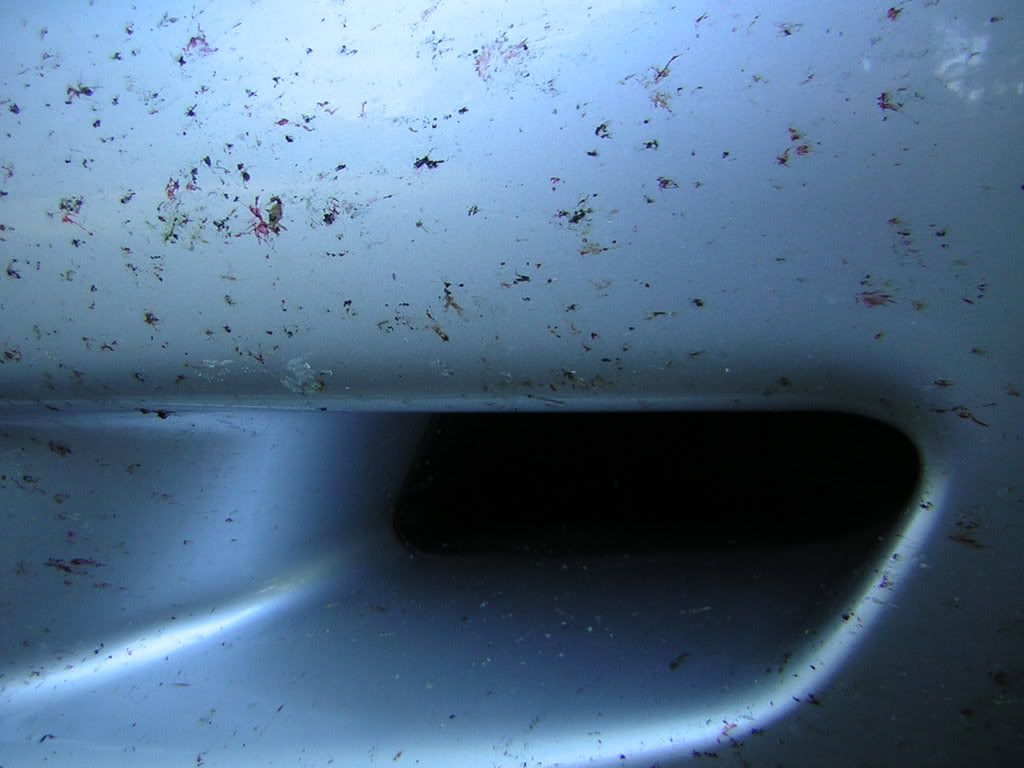 DSCN3939.jpg