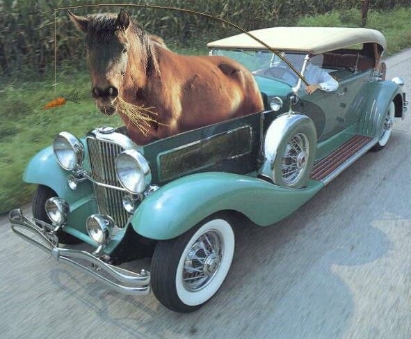 1_horse_power_car.jpg