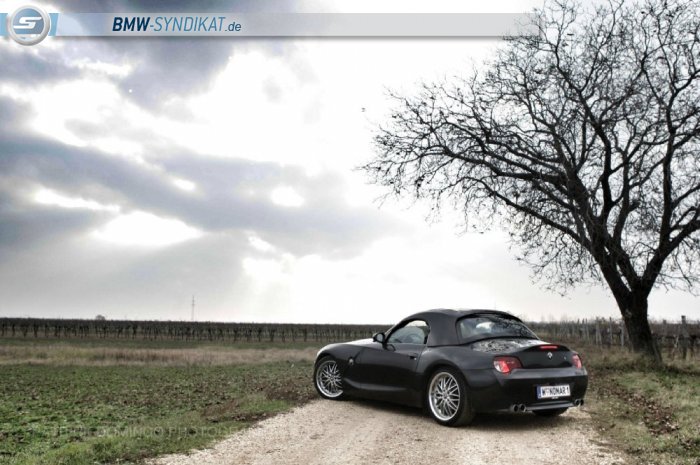 664036_bmw-syndikat_bild_high.jpg