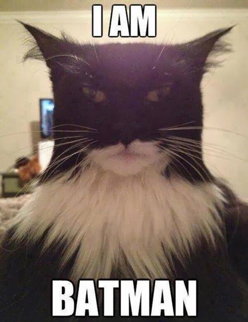 I%2Bam%2Bbatman.jpg