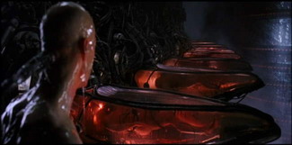 matrix26_resize.jpg