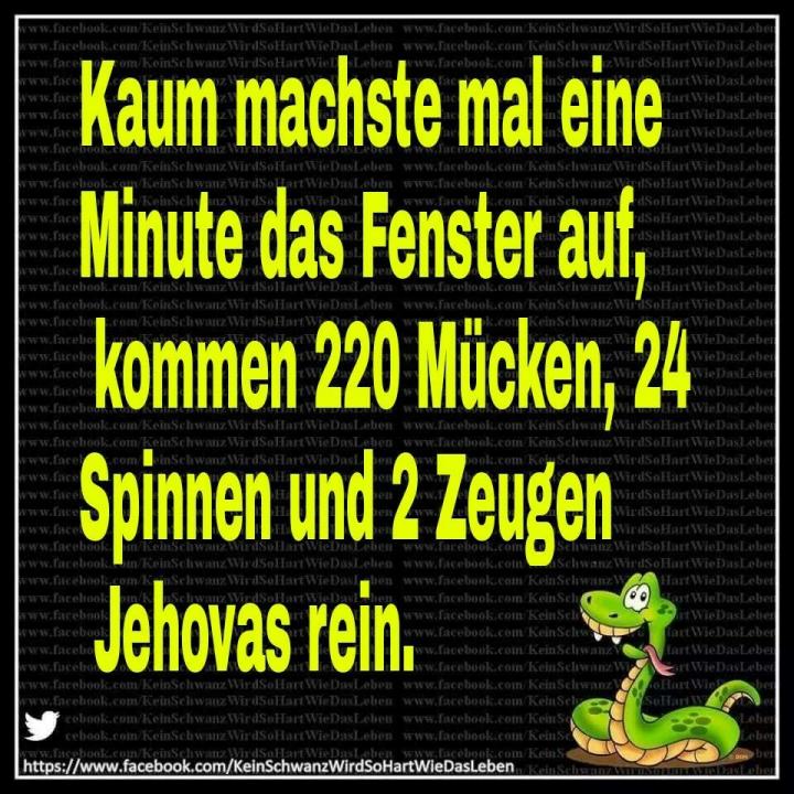 5681df574fa3fc9565e942314e33d231_720.jpeg