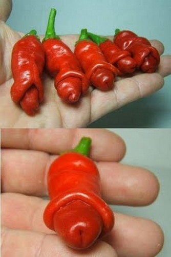 pe-chili.jpg