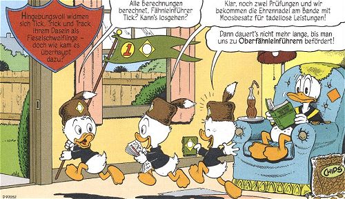 fieselschweif01.jpg