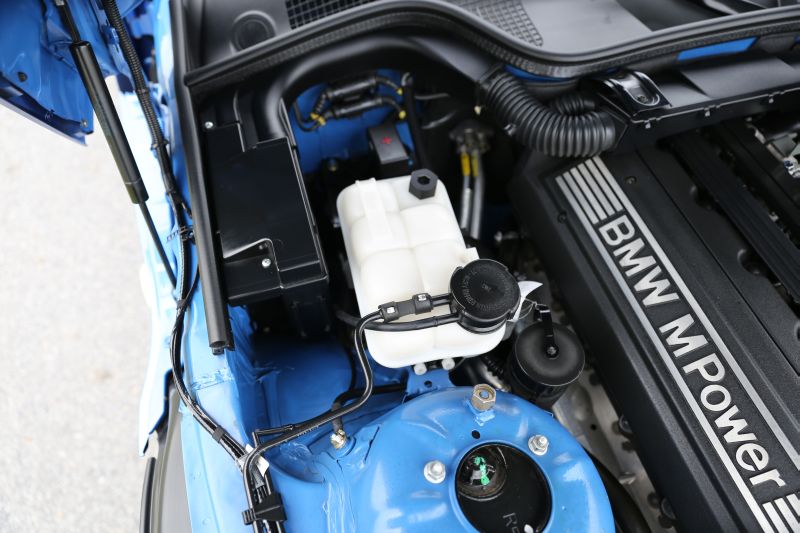 31703215pb.jpg