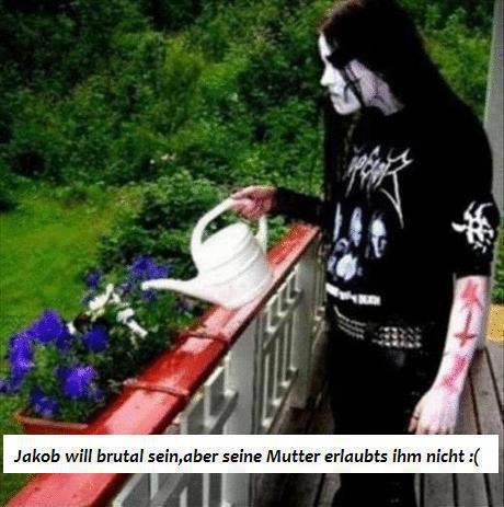 post2.jpg