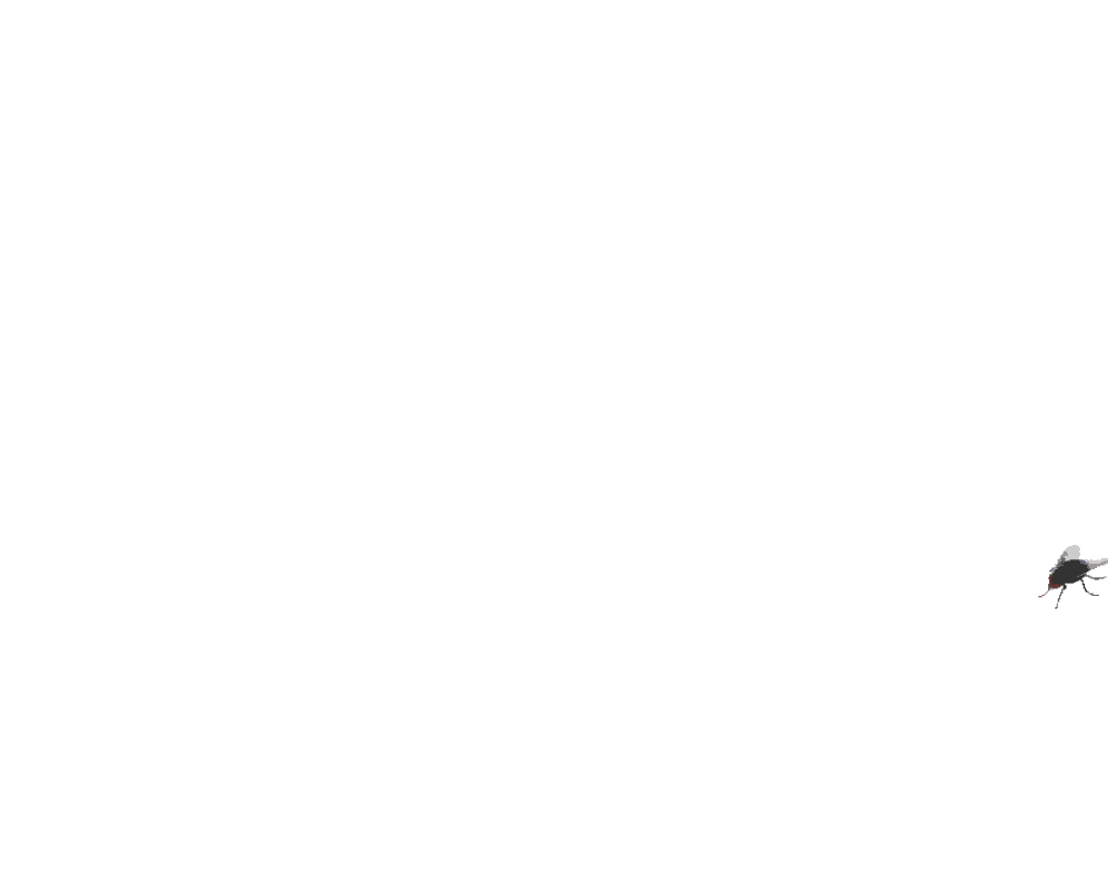 post2.jpg