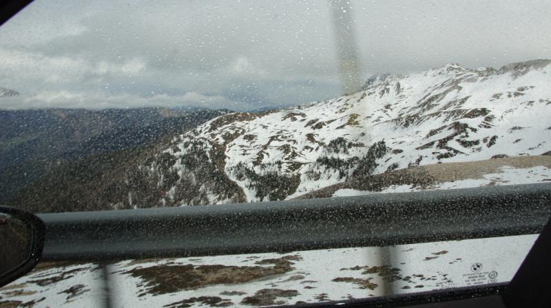dsc00171ojy2.jpg