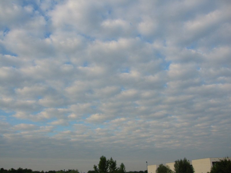 stratocumulus7_grand.jpg
