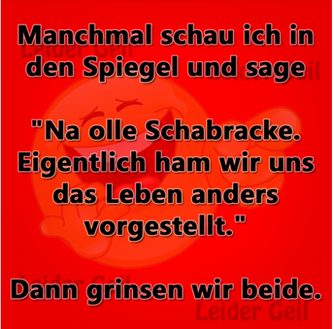 7d524ff78bf4063fce2a06110ccd9a51_view.png
