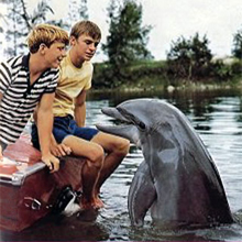 Flipper.jpg