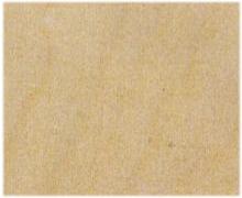 holz_birke.jpg