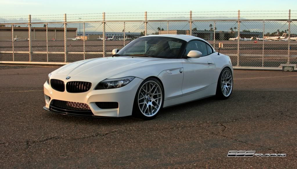 z4-ess1.jpg