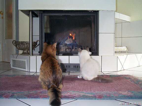 kamin.jpg