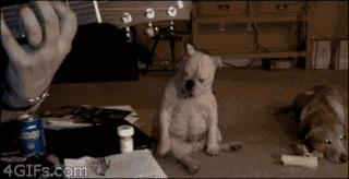 animated-gifs-242-003.gif