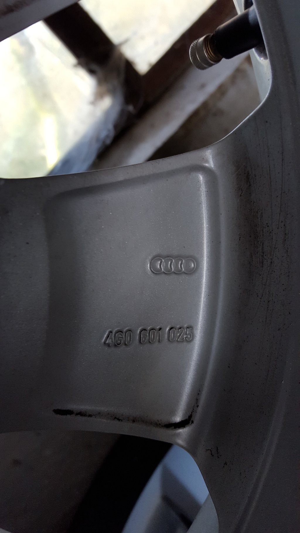 31863381yh.jpg