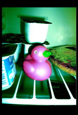 Duck_in_the_fridge___by_moonstarmonkey%5B1%5D_t.jpg