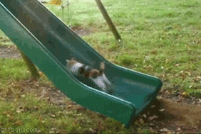 t12bd99_a5dKM1g_460sa.gif