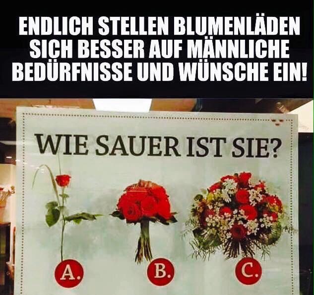 5d3f5d427d3a9181f7c5e9a181147b3b_720.jpeg