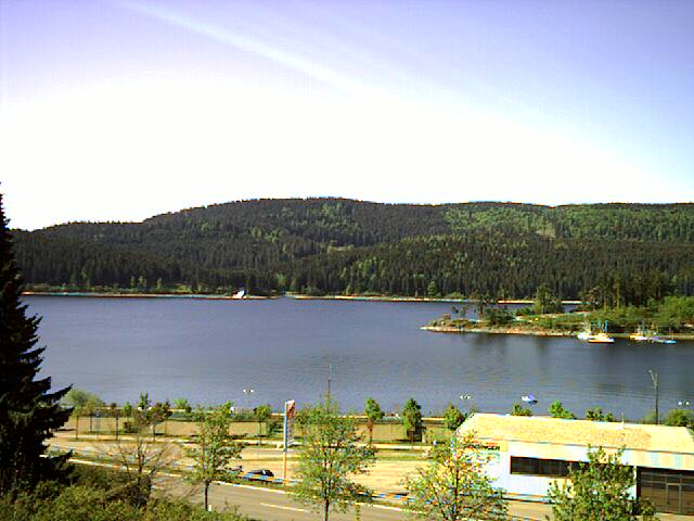 livecam.jpg