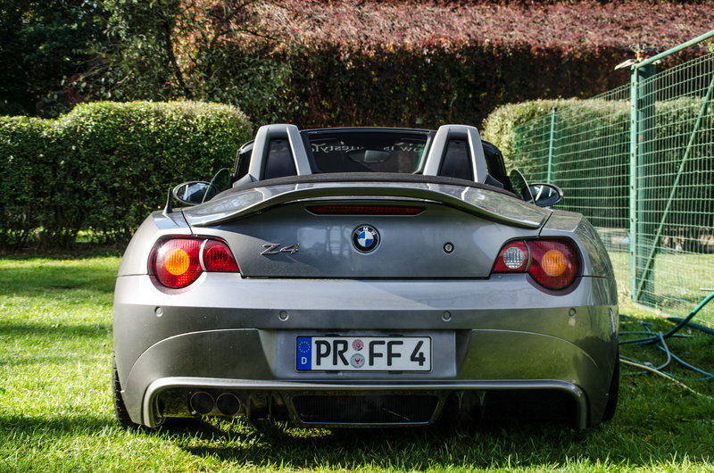 27095914li.jpg