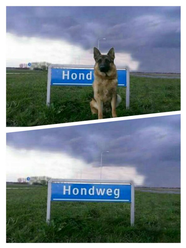 post2.jpg