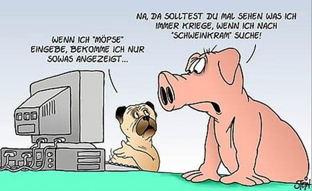 Schwein-und-Mops.jpg