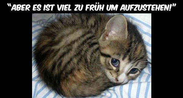 post2.jpg
