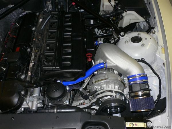 P1020998_Large_.JPG