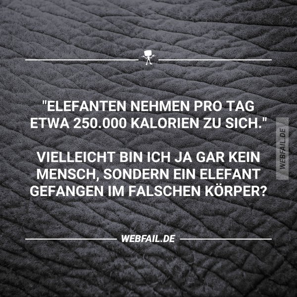 post2.jpg