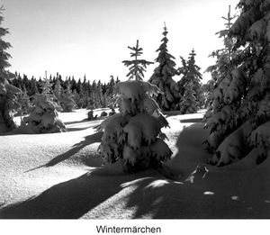 S72_Wintermaerchen.jpg