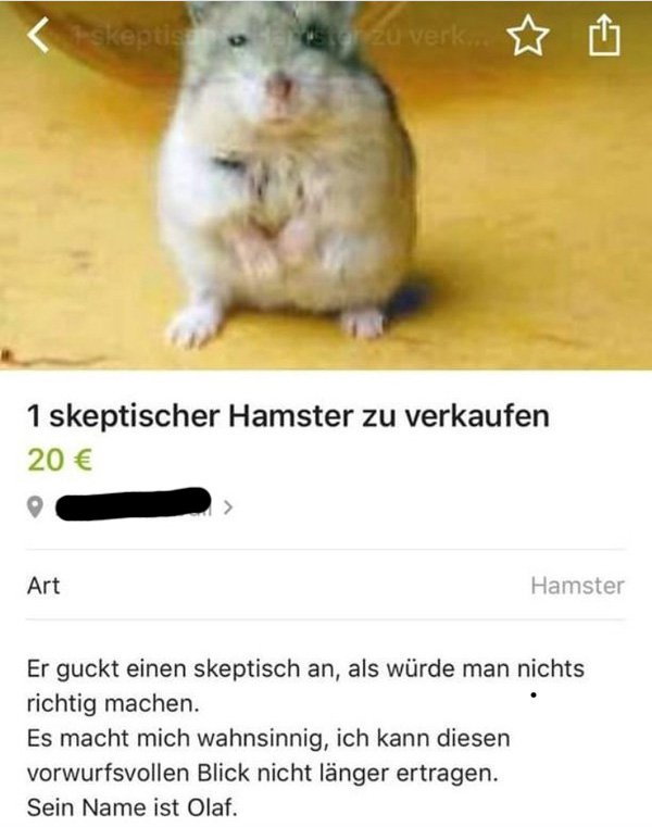 post2.jpg