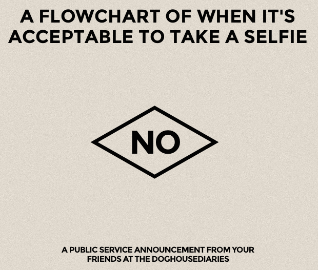 selfieflowchart.png