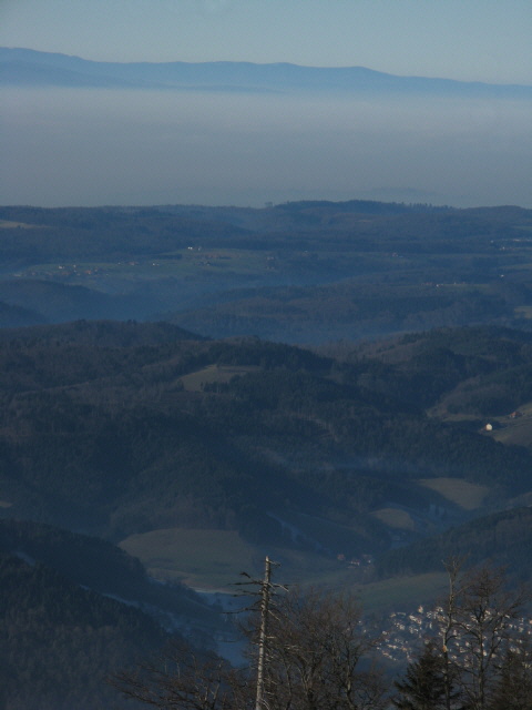 kandel5-071222.jpg