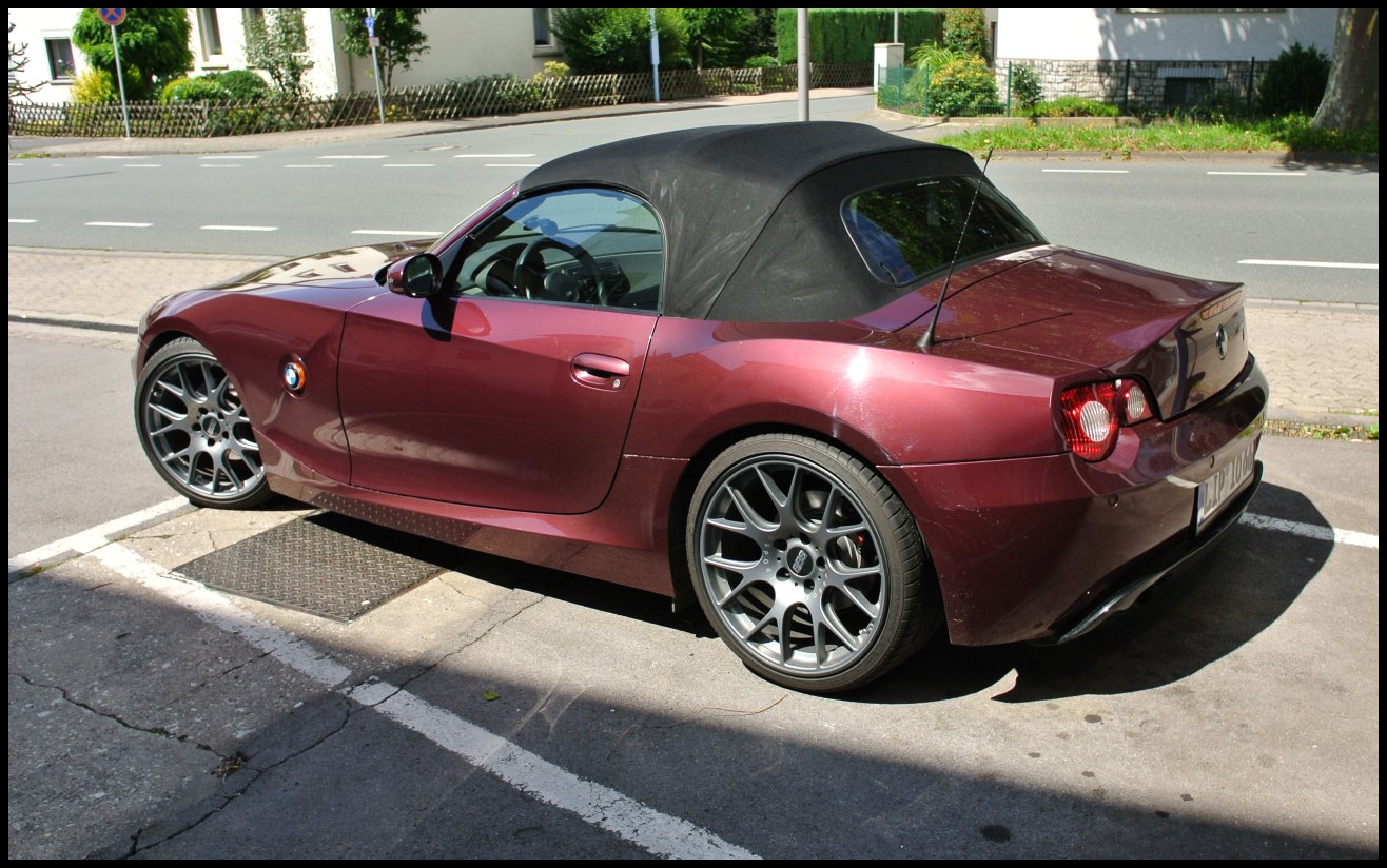 myz40.jpg
