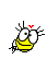 29540060.gif