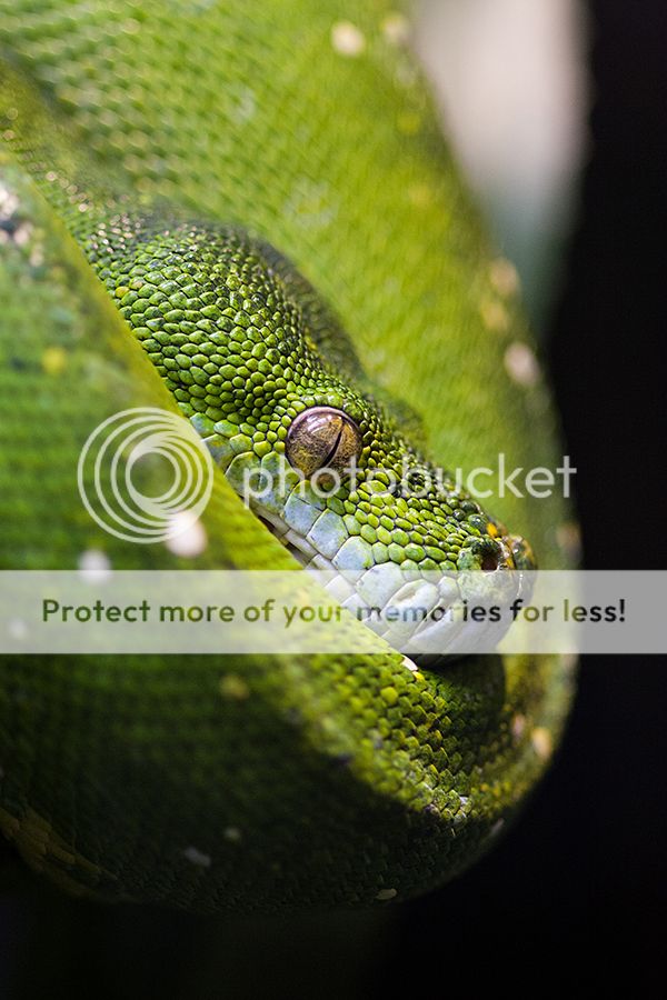IMG_9386_zps6c3ab6db.jpg