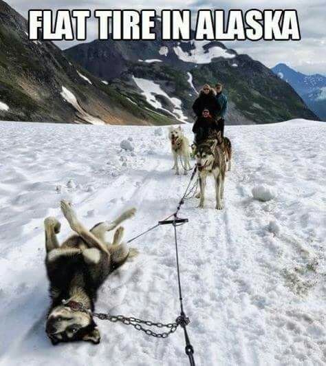 picdump-15-09-25-002.jpg