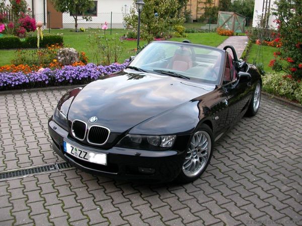 zetti91.jpg