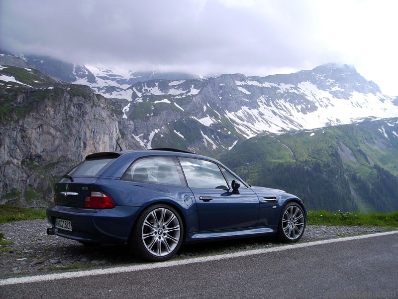 z3qpinschweiz.jpg